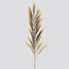 A tall blond rayung grass stem with feathery plumes and a slender stalk in a set of 3 measuring 2 meters each