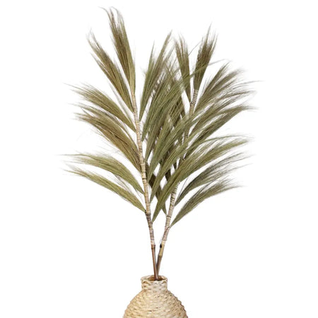 Dried green rayung grass in a woven wicker vase natural set of 3 1.6m tall decorative dried grass arrangement