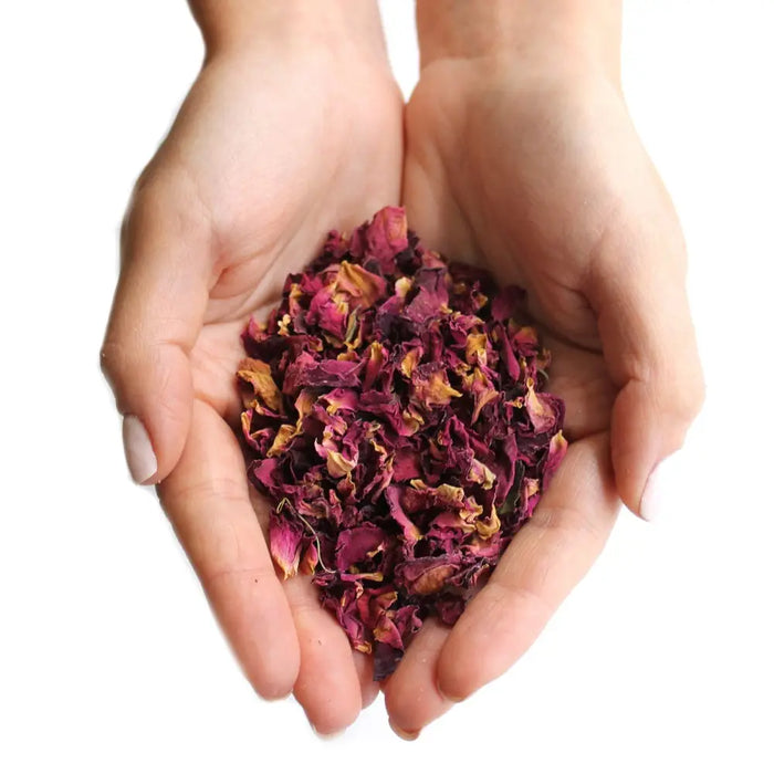 A pile of dried rose petals in deep burgundy and faded yellow held gently in cupped hands weighing 0.5kg