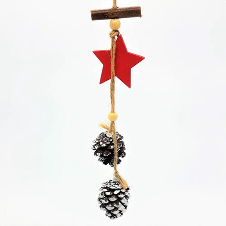Rustic star and pine cones hanging decoration with red wooden star and two silver pine cones on natural twine
