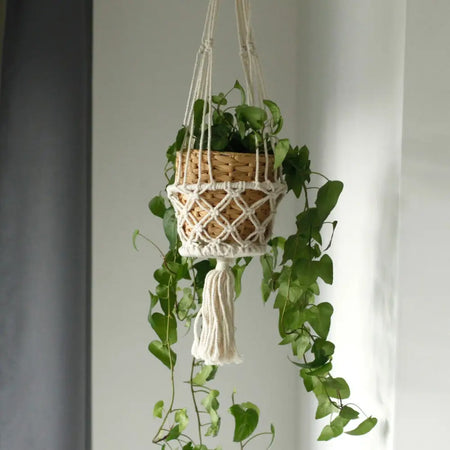 Cream-colored small macrame pot holder with woven wicker basket and tassel for a single hanging plant pot