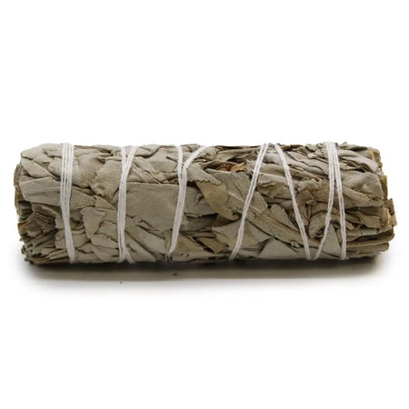 A tightly bound smudge stick of dried white sage leaves secured with white twine measuring 10cm long