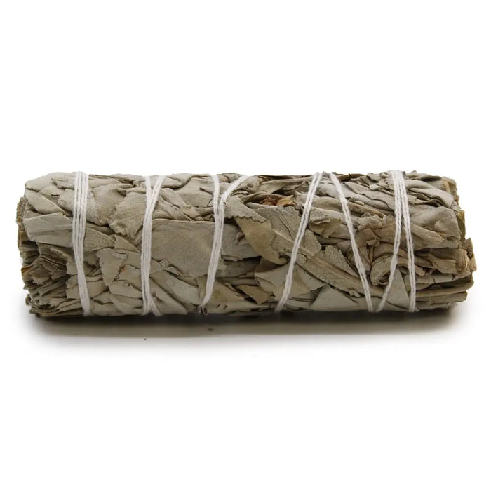A tightly bound smudge stick of dried white sage leaves secured with white twine measuring 10cm long