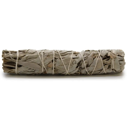 A tightly bound smudge stick of dried white sage leaves tied with thin white twine measuring 15cm long
