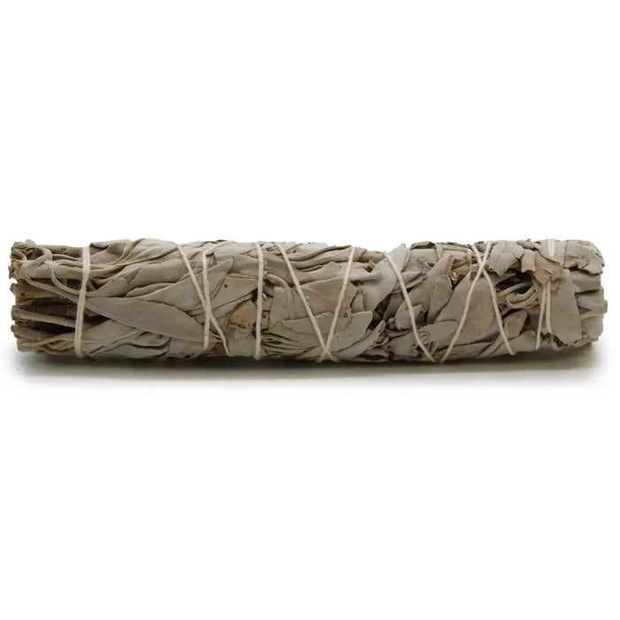A tightly bound smudge stick of dried white sage leaves tied with thin white twine measuring 15cm long