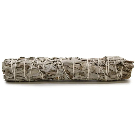 A tightly bound smudge stick of dried white sage leaves secured with white twine measuring 22.5cm
