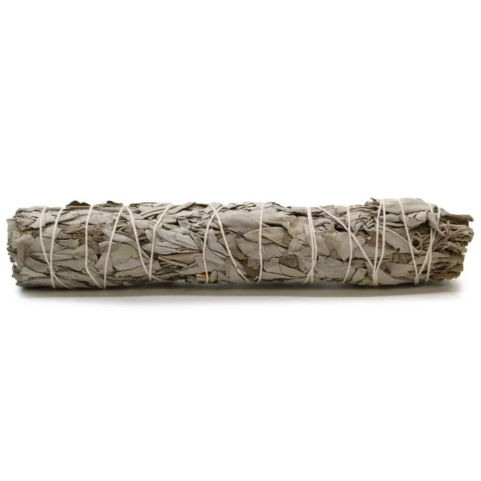 A tightly bound smudge stick of dried white sage leaves secured with white twine measuring 22.5cm