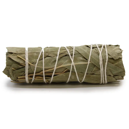 A smudge stick made of white sage and eucalyptus tied with white twine and measuring 10 cm in length