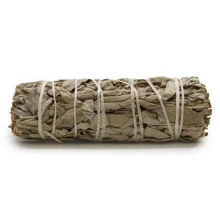 A tightly bound smudge stick of white sage and sweetgrass leaves tied with white twine for spiritual rituals