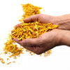 A handful of dried vibrant yellow sunflower petals showing natural texture in a close-up view
