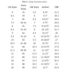 The Window, Milford Haven men's shoe size conversion chart showing US, Euro, UK, inches, and centimeters measurements.