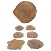 Set of 6 natural wood slice coasters from The Window, Milford Haven, featuring unique organic shapes and grain patterns.