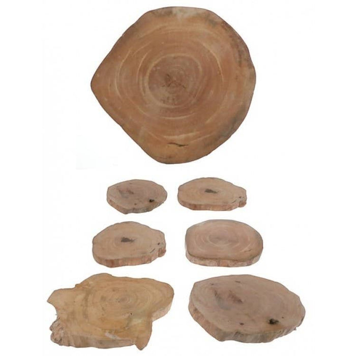 Set of 6 natural wood slice coasters from The Window, Milford Haven, featuring unique organic shapes and grain patterns.