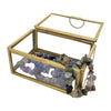The Window, Milford Haven small rectangular glass jewellery box with a brass metal frame and gemstone beads inside.