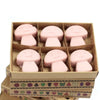 Pink mushroom-shaped palm waxes wax melts in a cardboard box labeled coffee trader box of 6