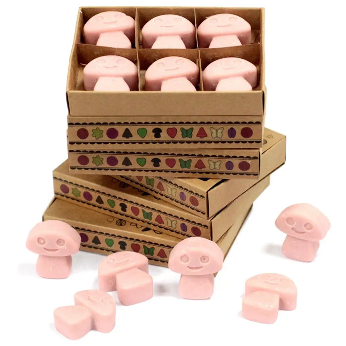 Pink mushroom-shaped wax melts made from palm waxes with smiling faces in decorative cardboard boxes coffee trader box of 6