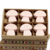 A box of six pink mushroom-shaped palm waxes wax melts scented with dark sandalwood in a cardboard container