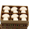 Six off-white mushroom-shaped palm waxes wax melts in a decorative cardboard box vanilla nutmeg scent