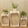 Three whitewashed wooden storage crates of different sizes holding potted plants in metal buckets