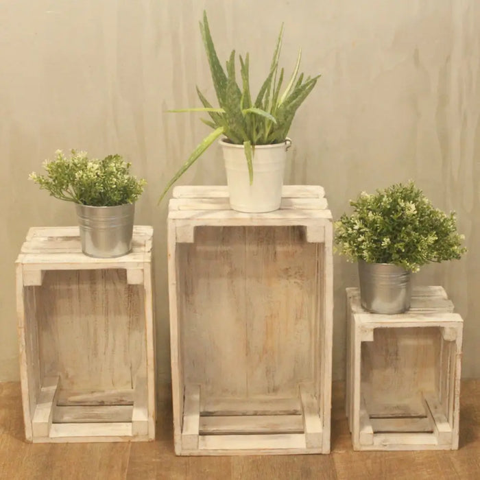 Three whitewashed wooden storage crates of different sizes holding potted plants in metal buckets