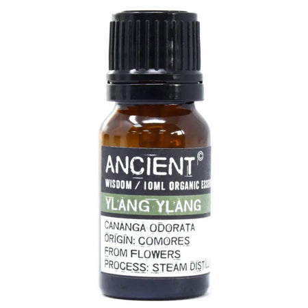 A small amber glass bottle with a black cap labeled ancient wisdom 10ml ylang ylang organic essential oil