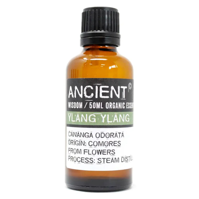 An amber glass bottle with a black cap containing 50ml of ancient brand ylang ylang organic essential oil