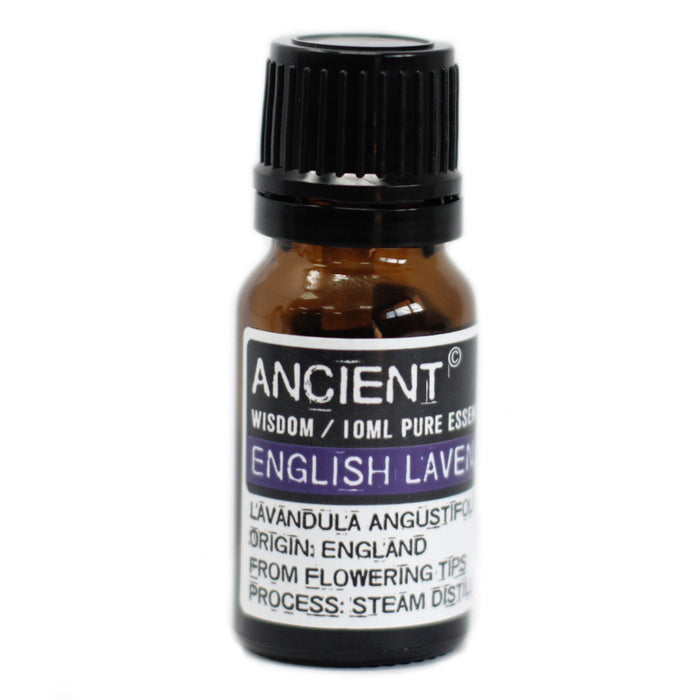 English Lavender Essential Oil