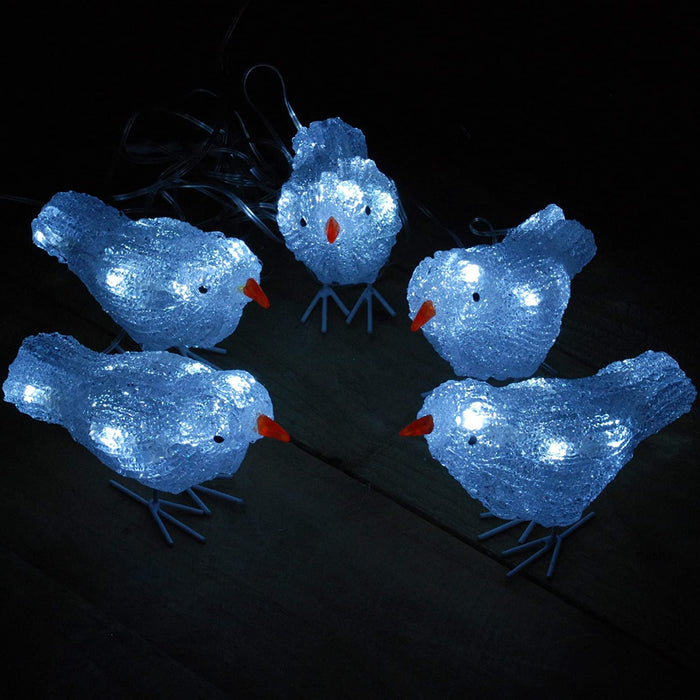 Outdoor Illuminated Decoration: Five Acrylic Birds with White LEDs